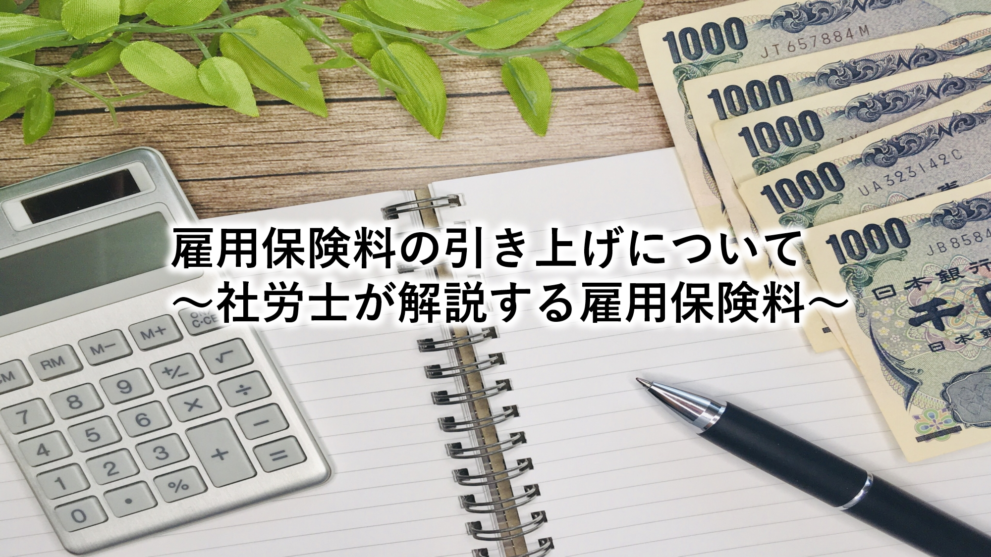 雇用保険料の引き上げについて～社労士が解説する雇用保険料～